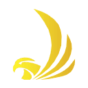 The Falcon Express